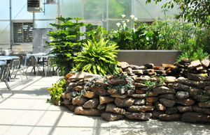 The Tidal Wetland Living Machine