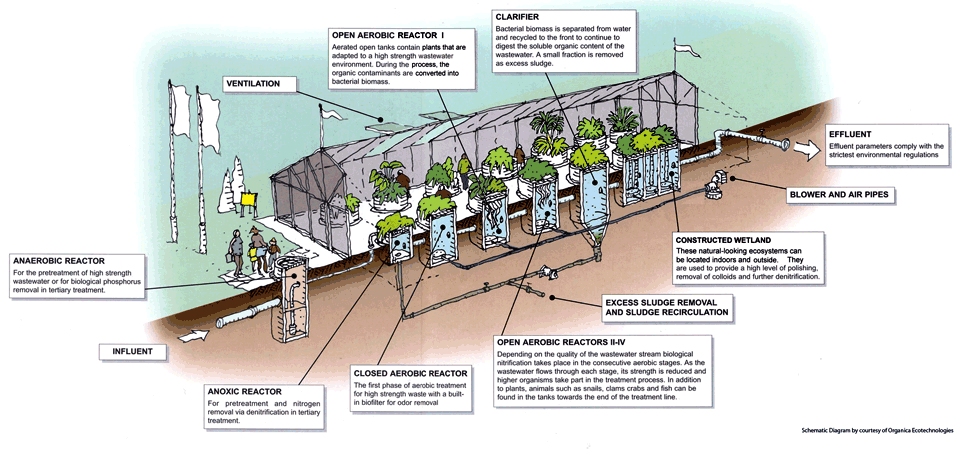 A diagram of the Findhorn Living Machine system