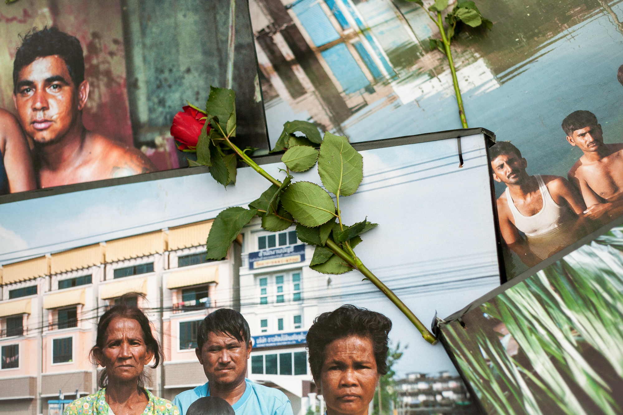 Francesca E. Harris - Roses laid on Gideon Mendell prints