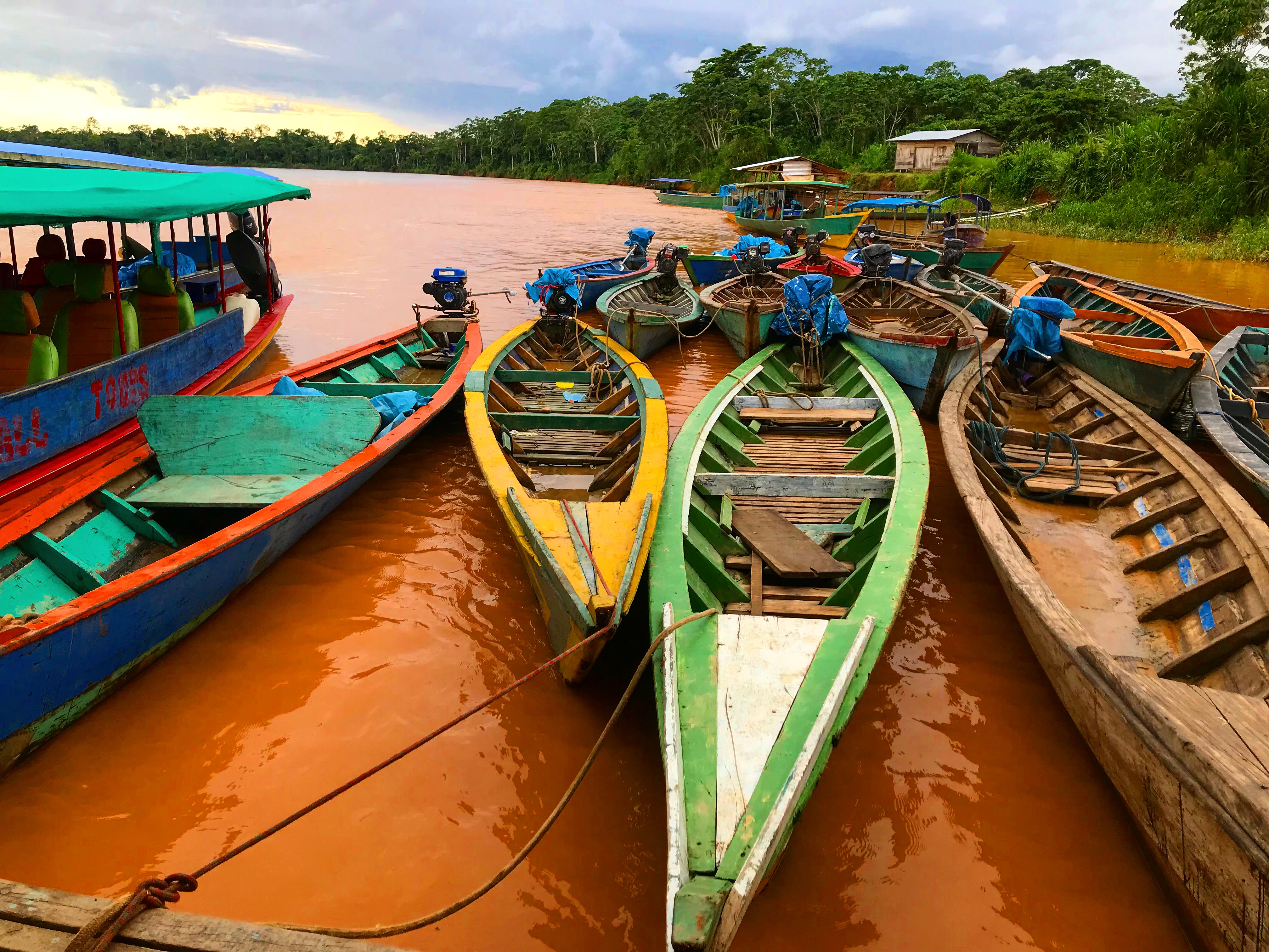 boca colorado ilegal gold mining 