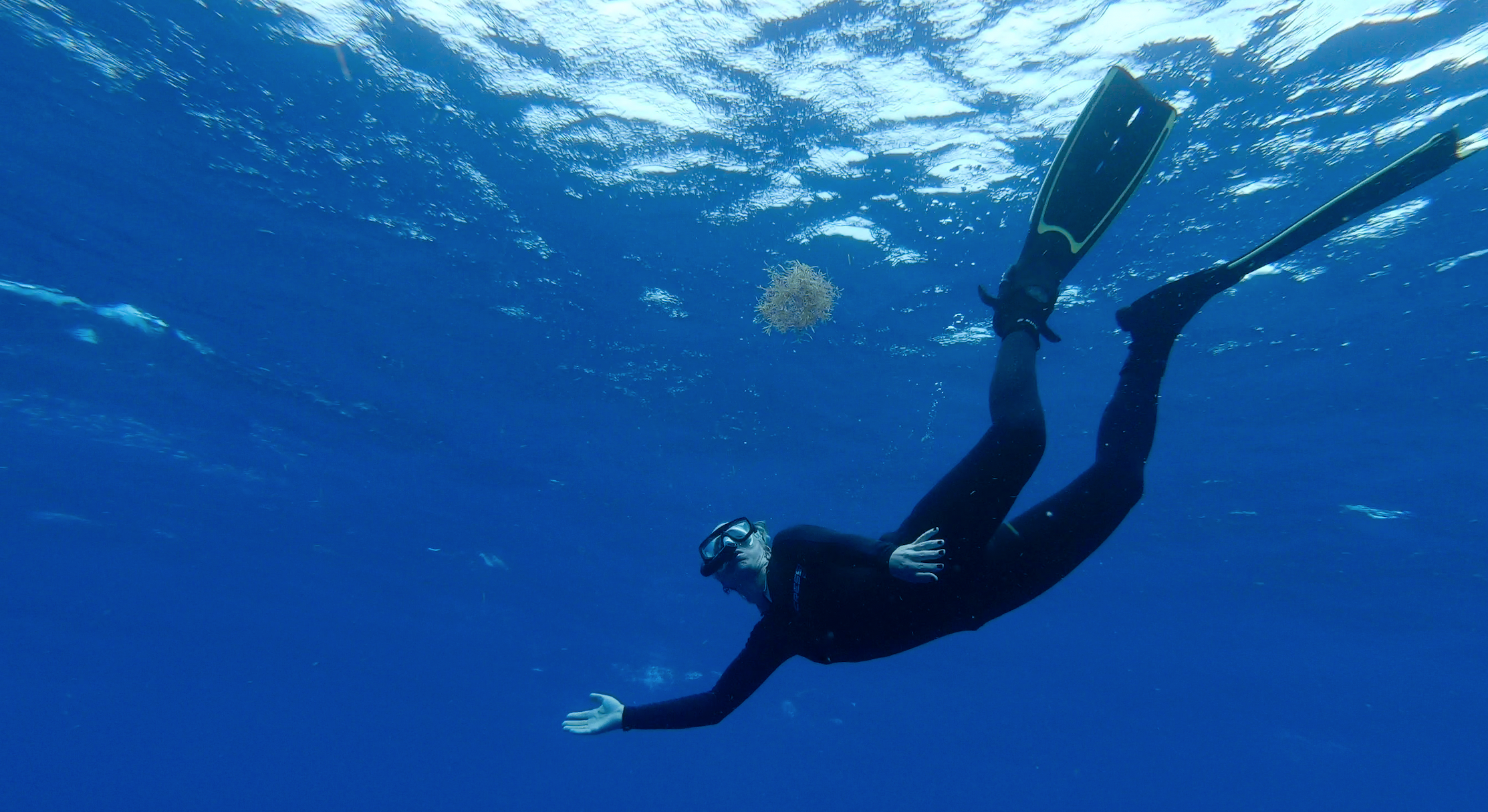 diving