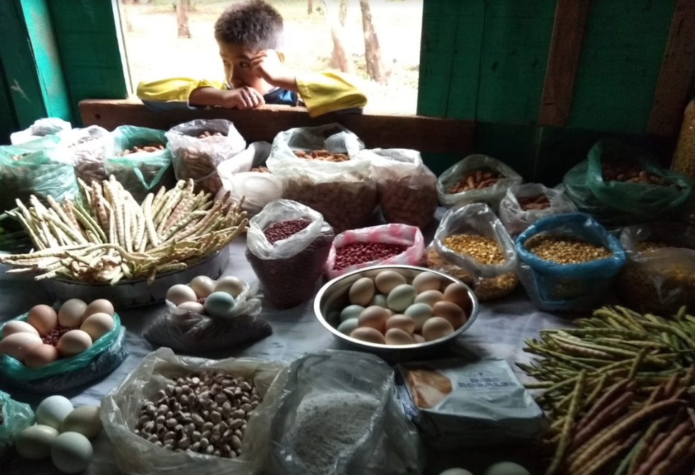Native varieties of maize and bean seeds, and free-ranch eggs on display at a community event in Crescencio González. Photo by Inés Franceschelli