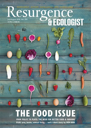 The Food Issue