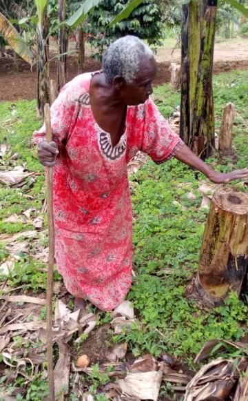 Evangeline Kagwiite in her garden. Photo: Dennis Tabaro