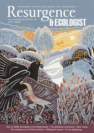 Front cover 312