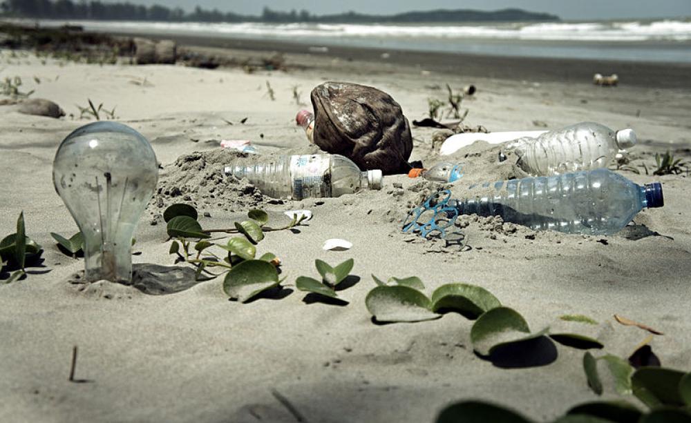 Plastics on a beach