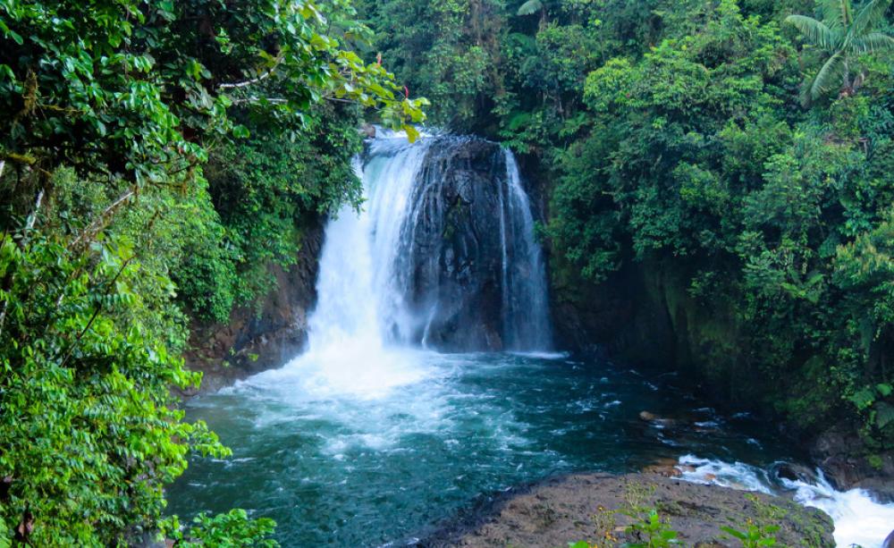 Waterfall