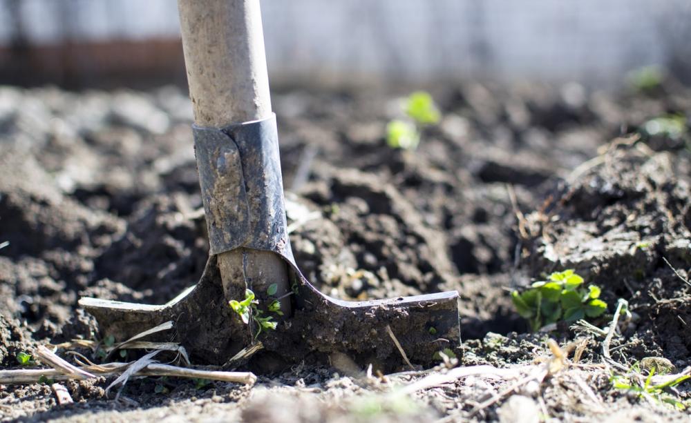 Sustainable food production