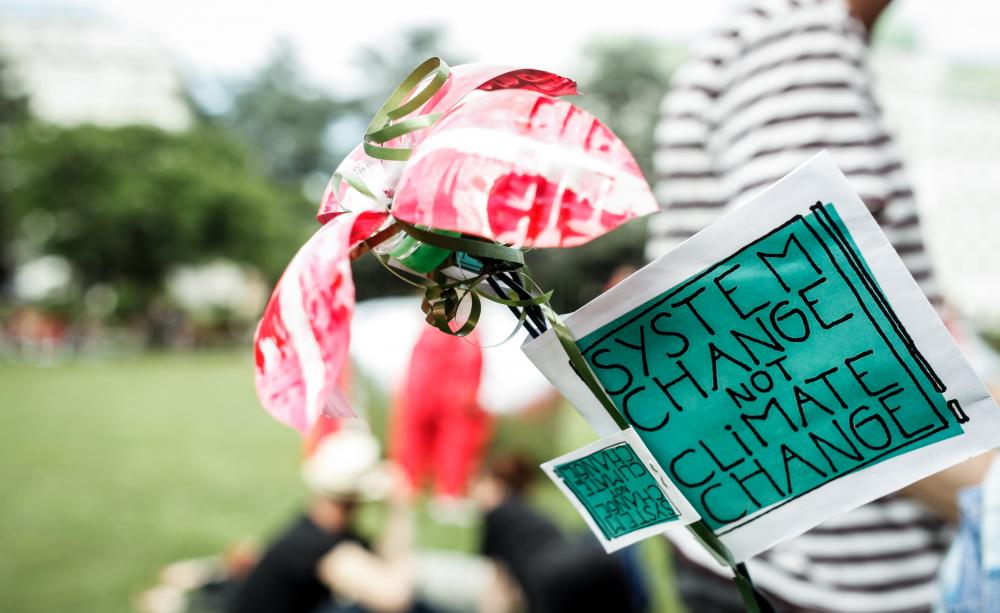 Tag reading 'system change not climate change'