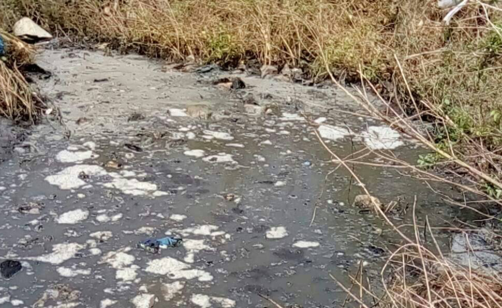 Photograph of a river polluted by waste