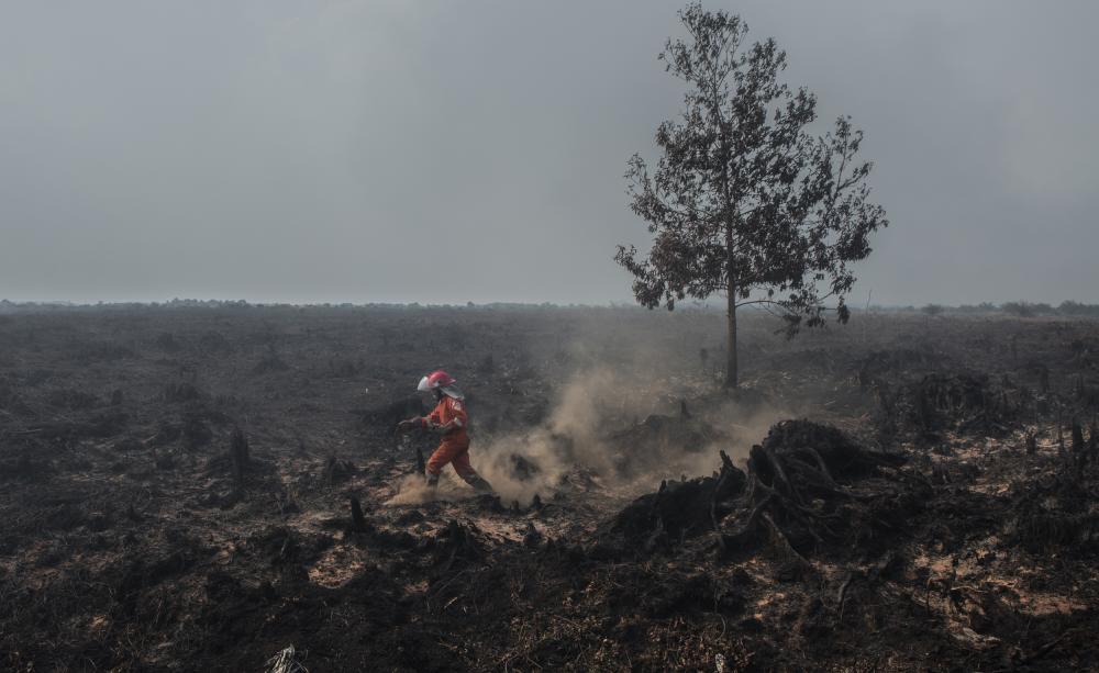 FFP Deployment in PT SUM, West Kalimantan