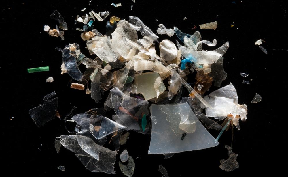 Microplastics