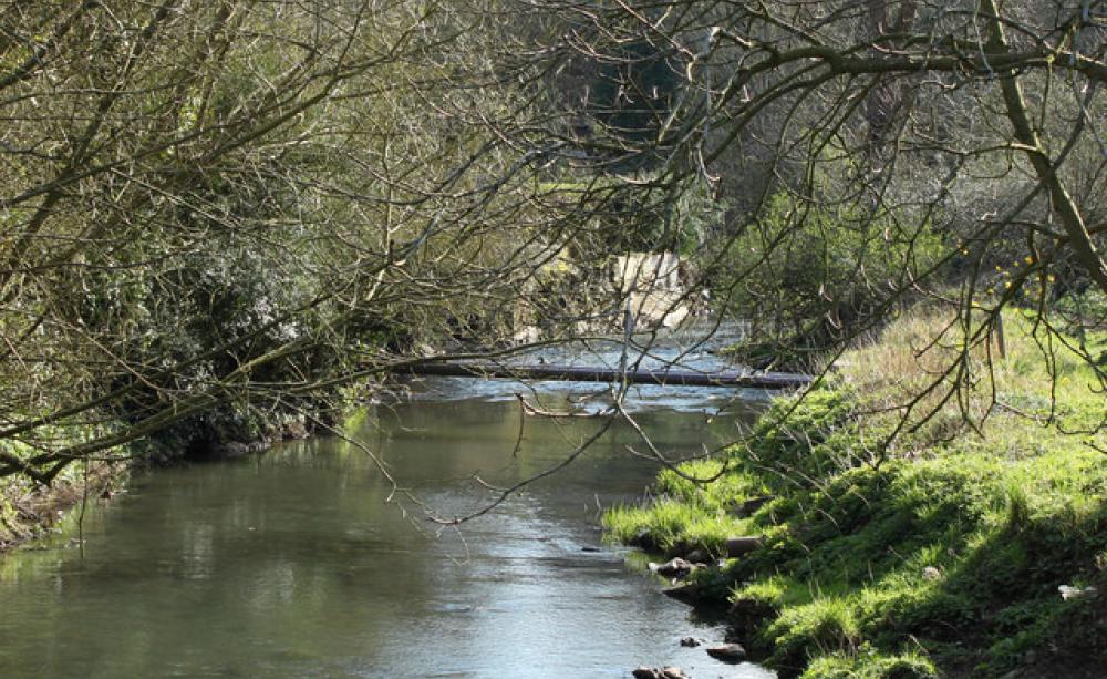 Frome River