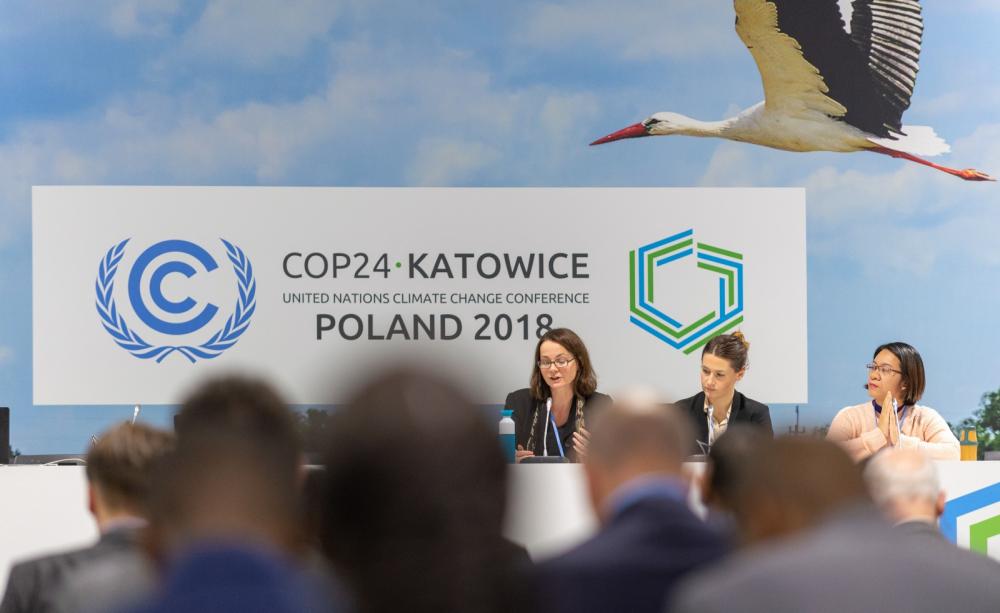 COP24