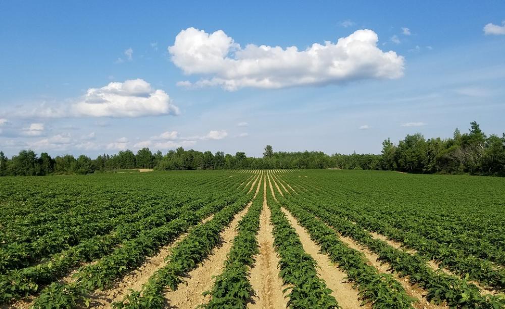 Farming