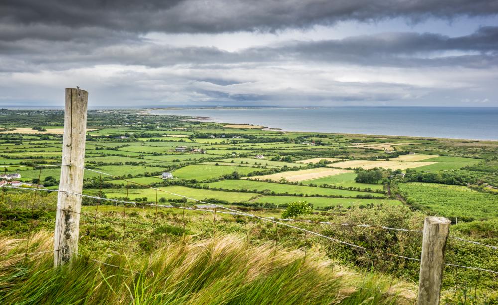 A blustery scene of fields and sea