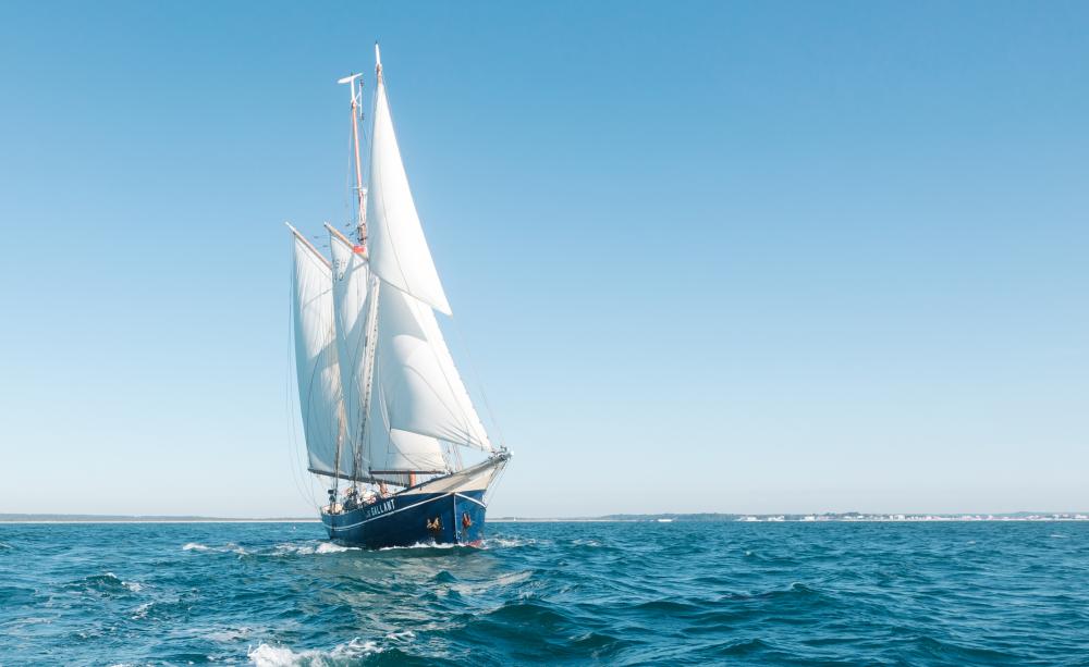 Lush sailboat