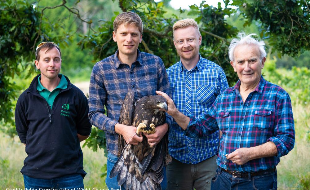 Reintroducing white-tailed eagles