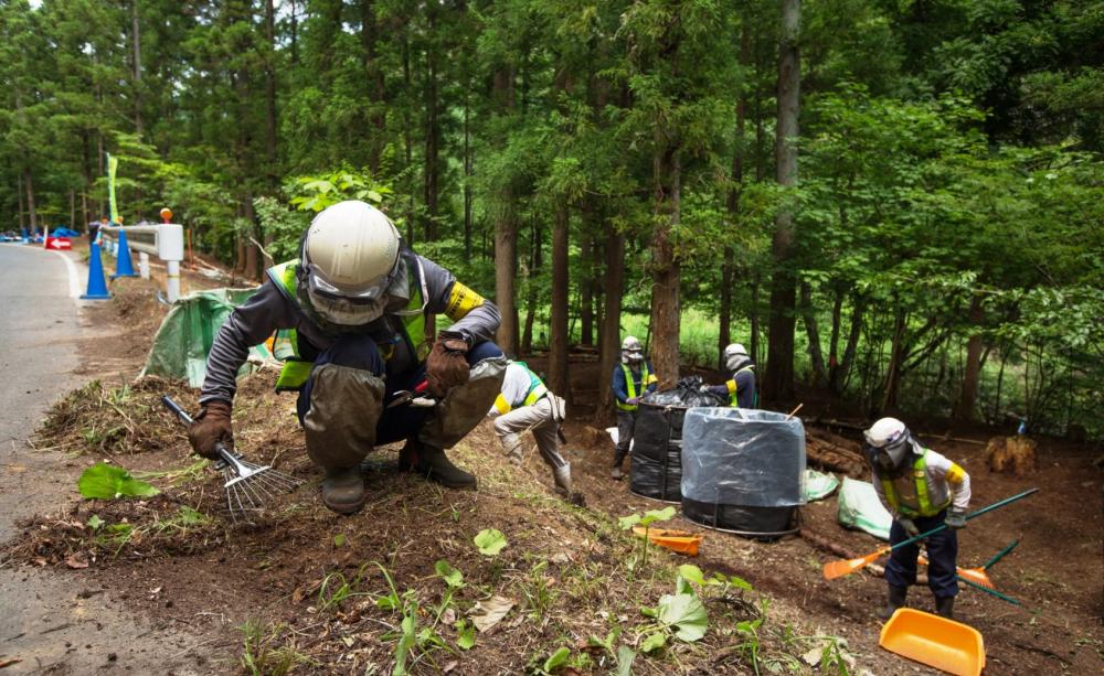Decontamination work in Iitate, 2015.
