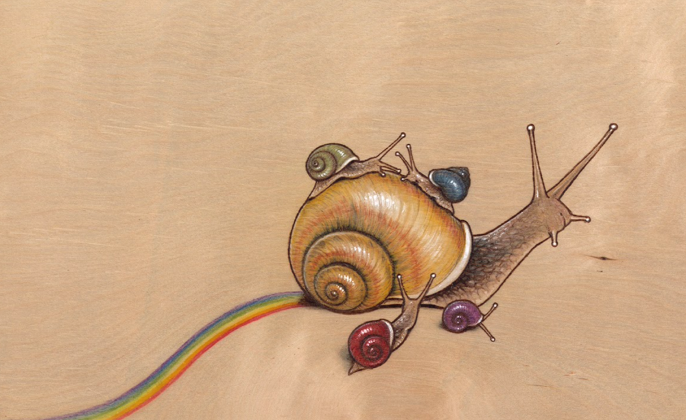 Snail illustration