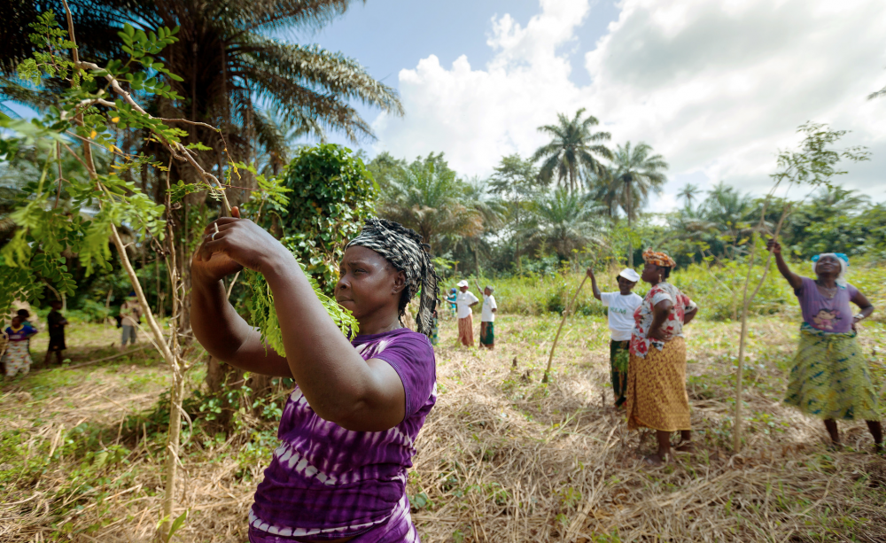 Women farming