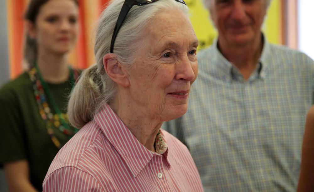 Jane Goodall