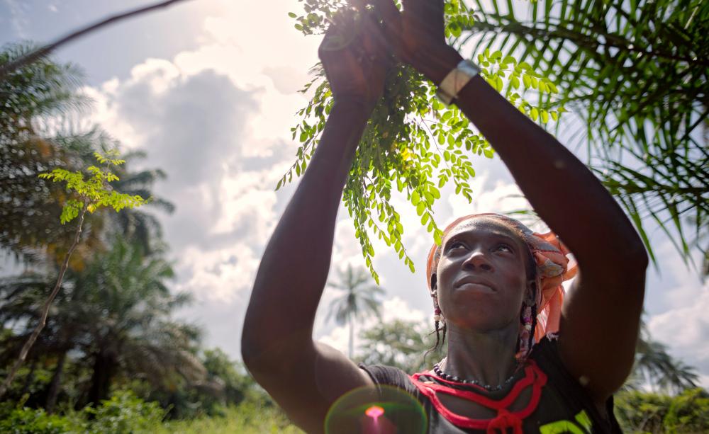 Guinea - Rural Women's Cooperative