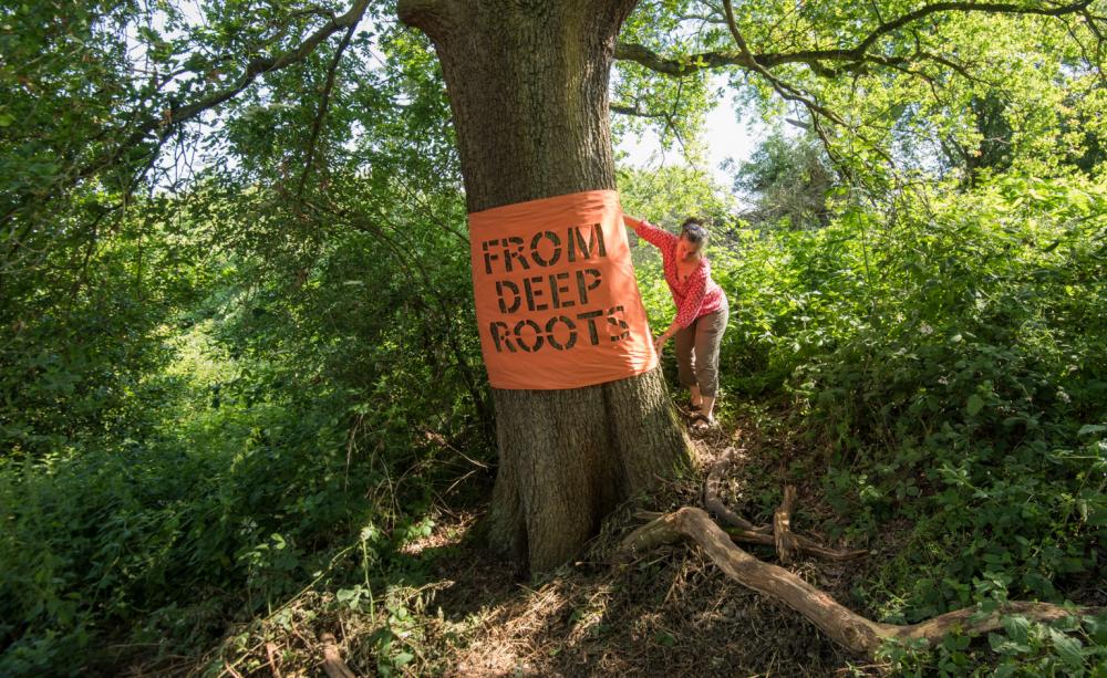 A woman is placing a large orange banner on an oak tree. The words 'From deep roots' can be read on the bark as the letter shapes are cut out of the cloth, like a stencil.