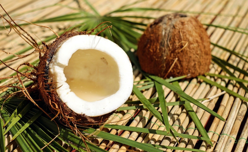 Coconut