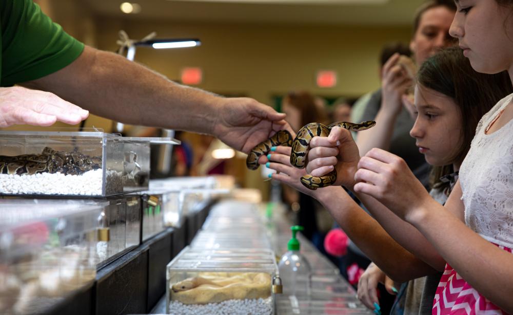Wildlife market selling reptiles, Memphis, USA.