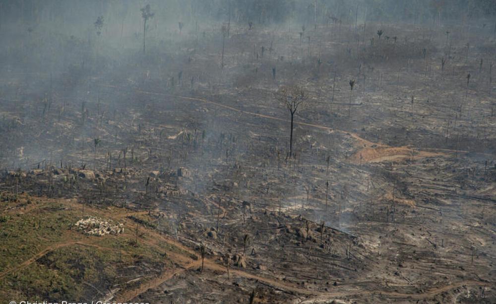 A field of smoking ground and burnt tree remains in Brazil