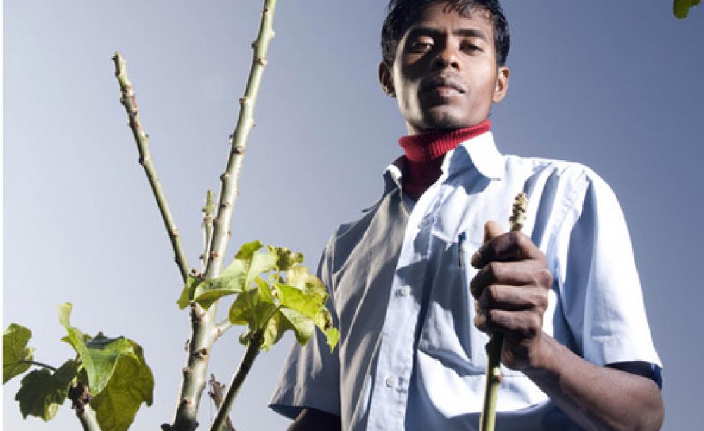 Raju Sona is a smallscale farmer, seen with his only Jatrophal tree at his home farm