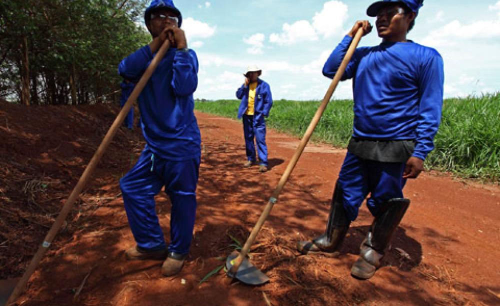 Sugarcane plantation workers