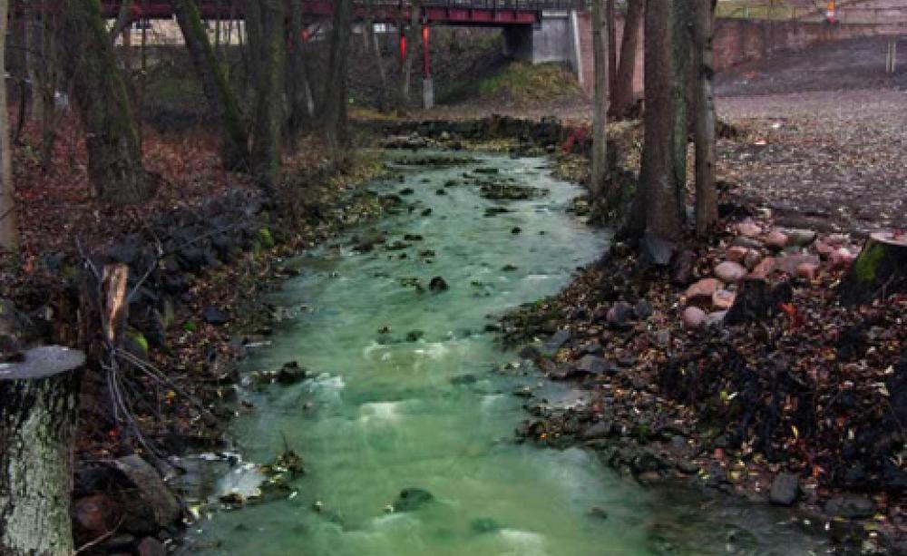 Polluted waterway