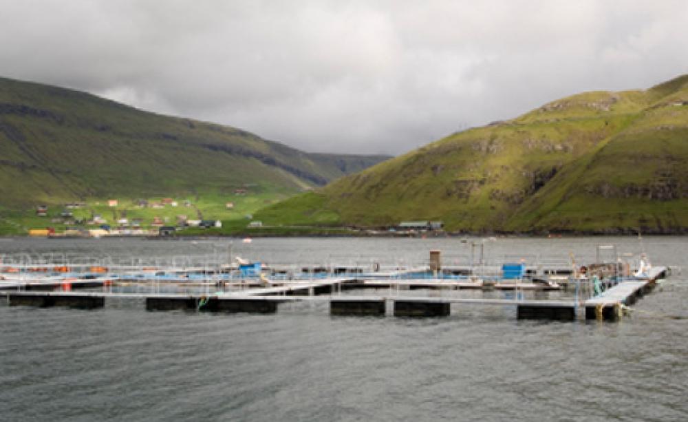 Fish farm