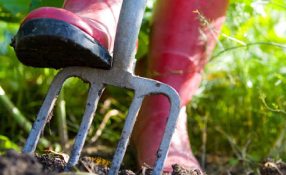 Digging up soil