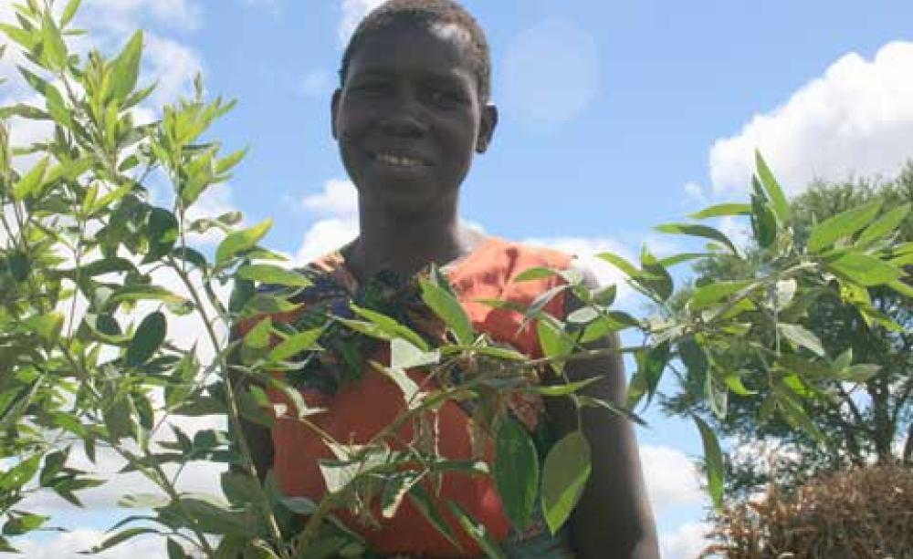 Malawi FYF