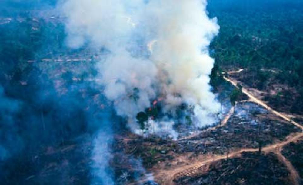 Deforestation