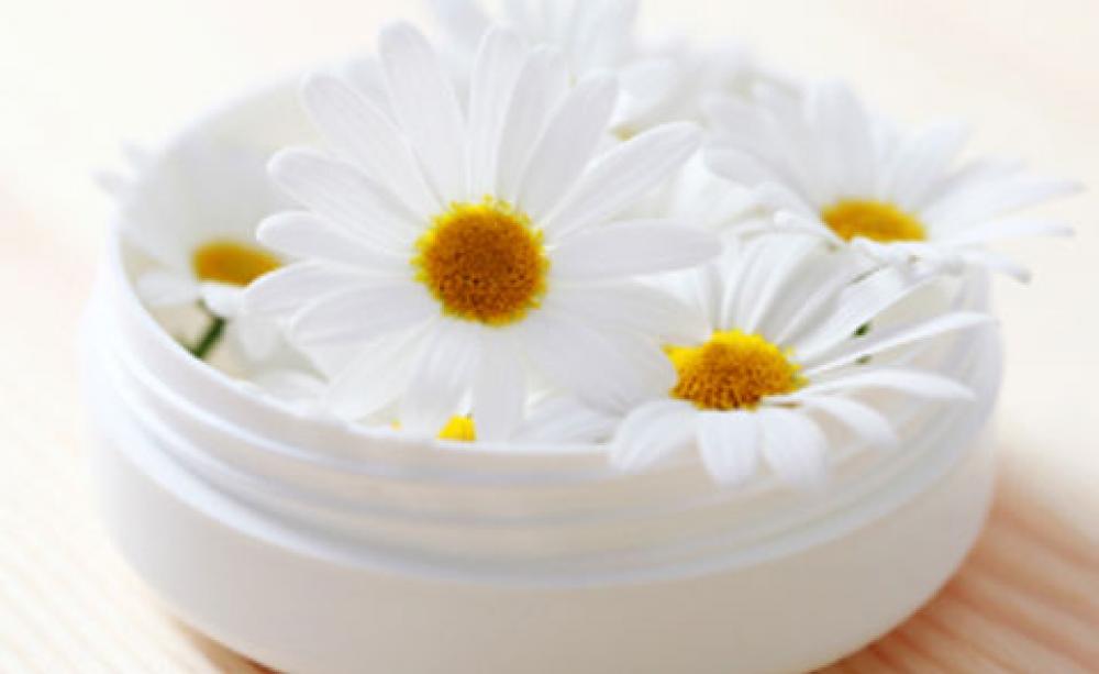Camomile face cream