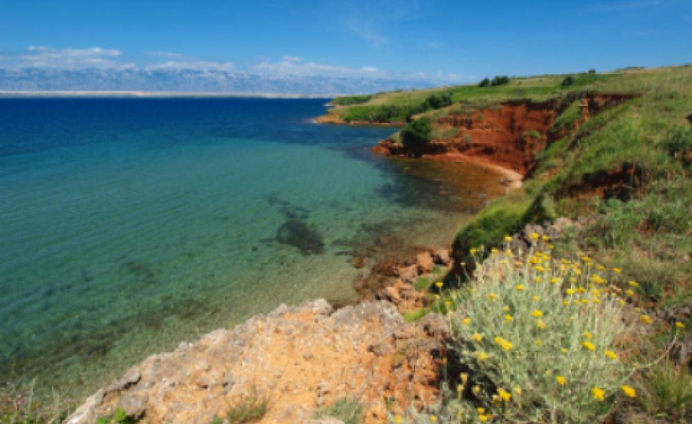 Dalmatian coast