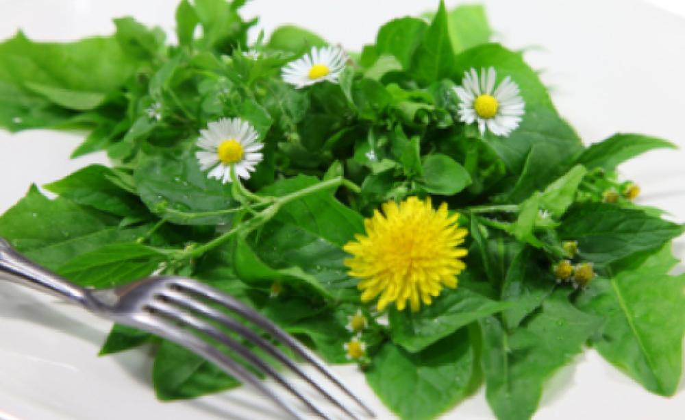weed salad
