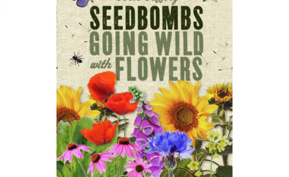 Seedbombs: Going Wild with Flowers