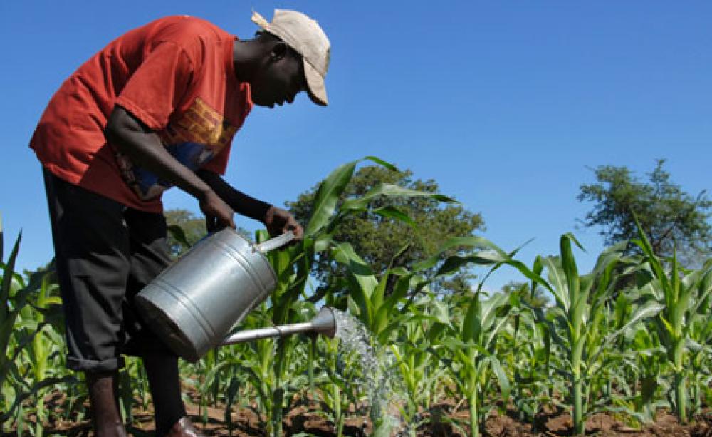 Agriculture in Africa