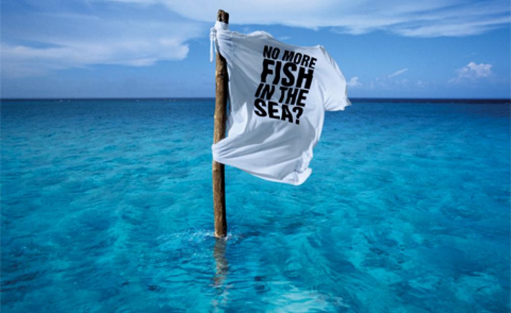 Selfridges' Project Ocean