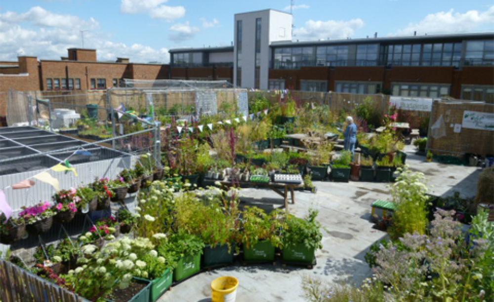 Supermarket rooftop garden