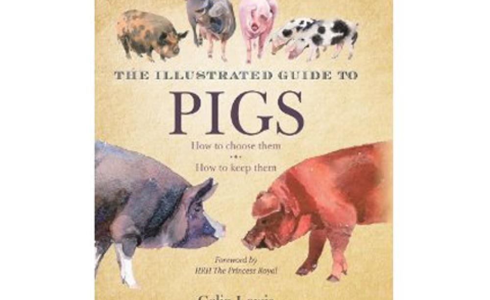 The Illustrated Guide to Pigs: How to Choose Them – How to Keep Them