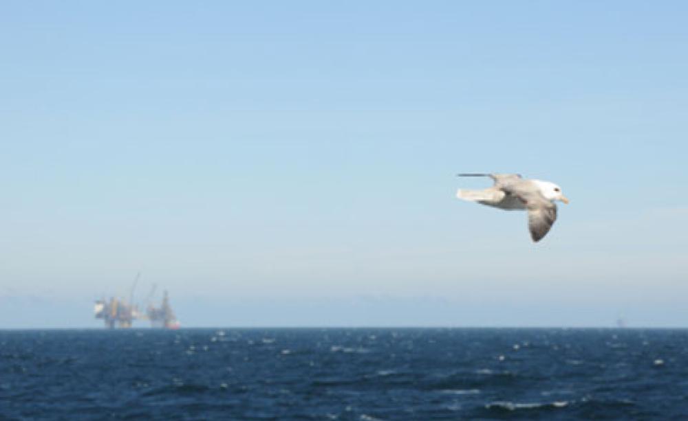 Oil rig