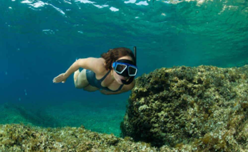 WILD SWIMMING