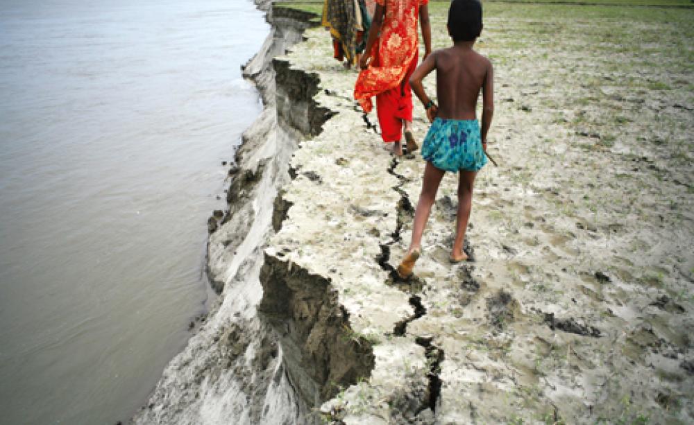 People Tree in Bangladesh