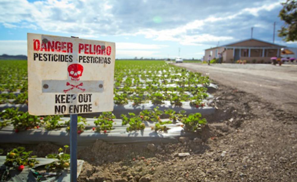 Pesticides_skull